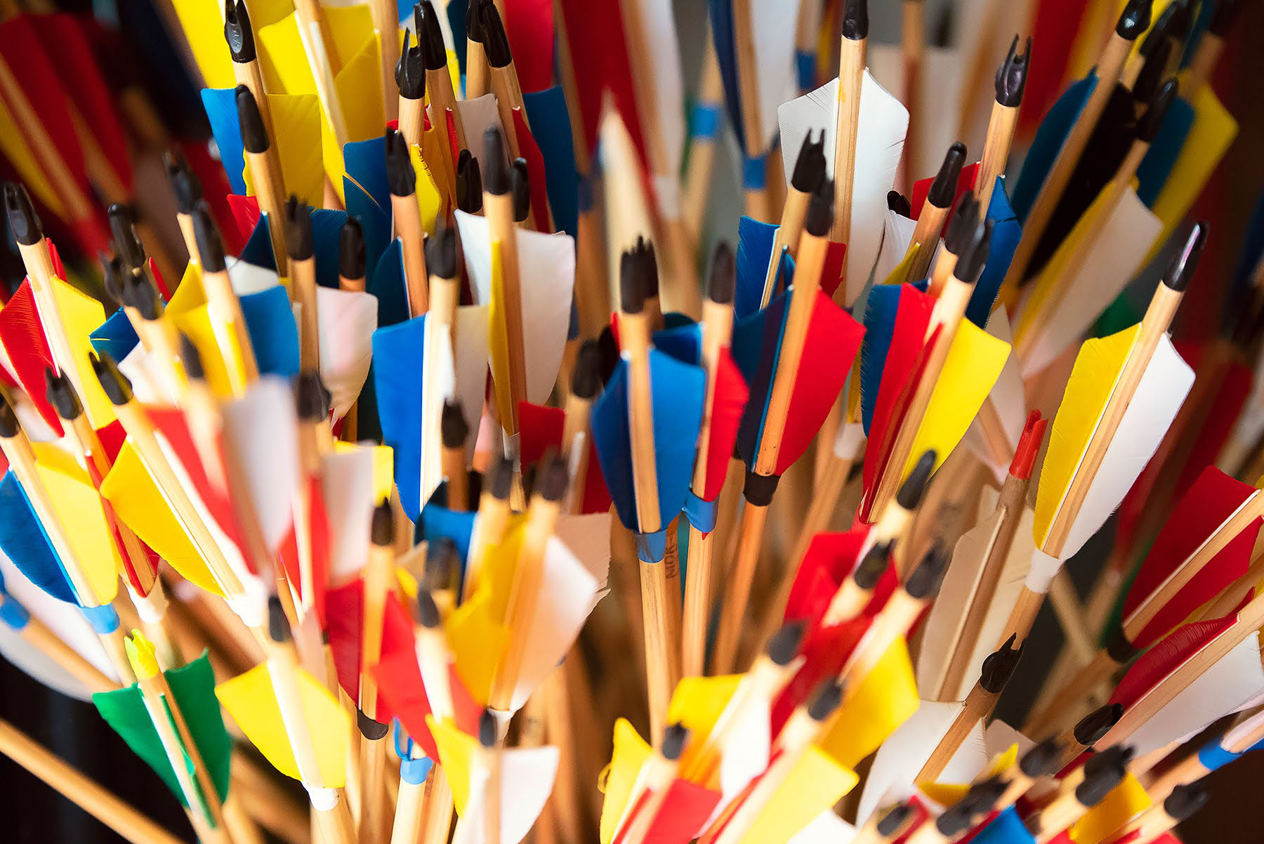 Archery Certificate Course Mount Petrie Bowmen